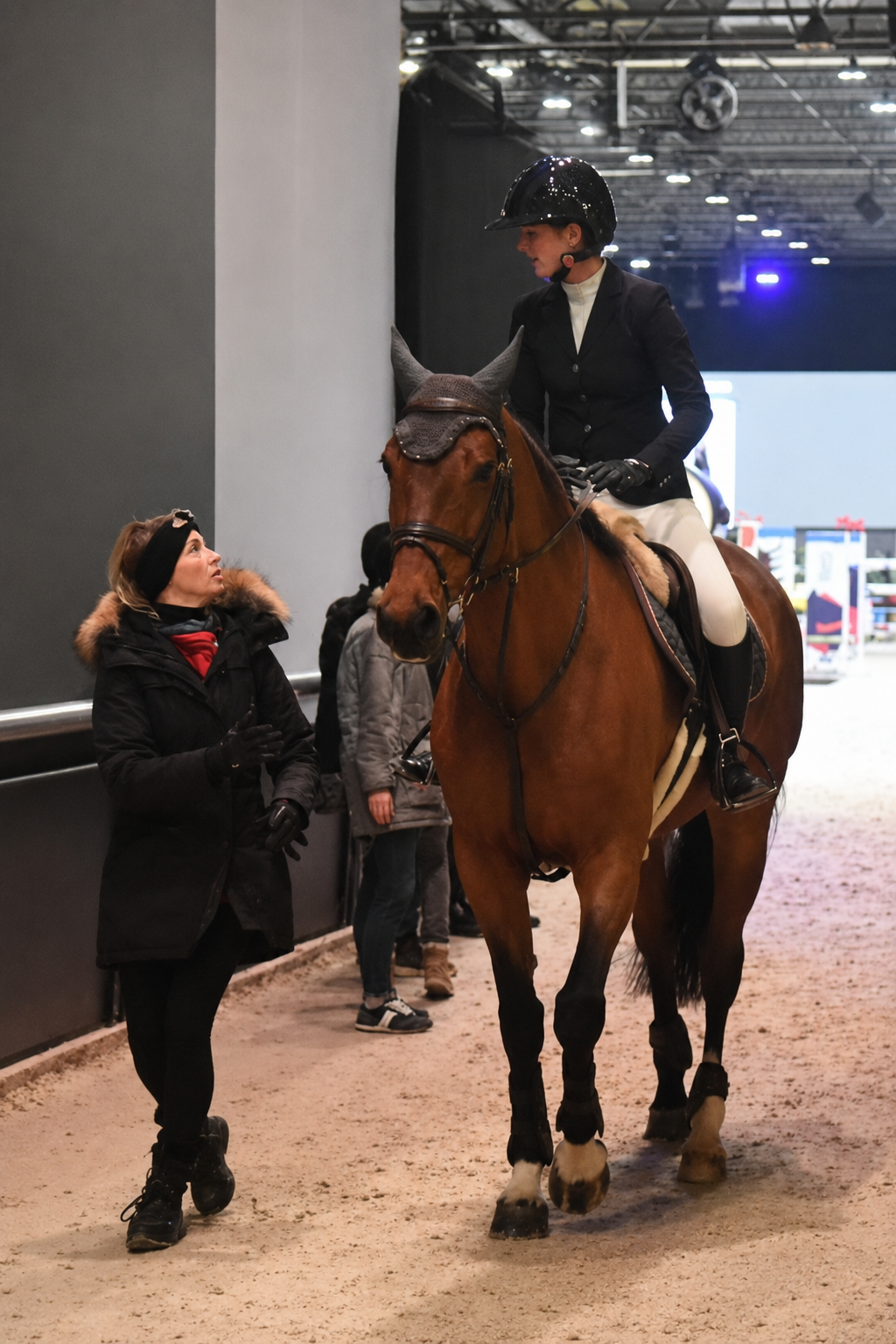 Elite equestrian rider and coach