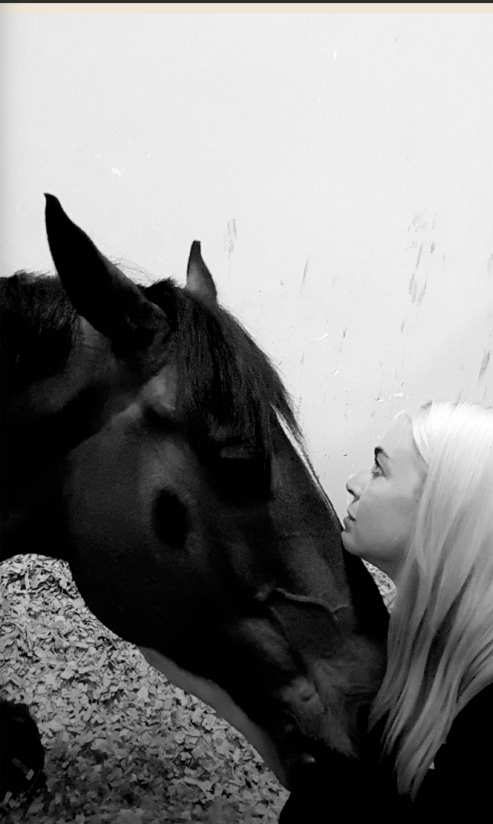 Close care for a horse