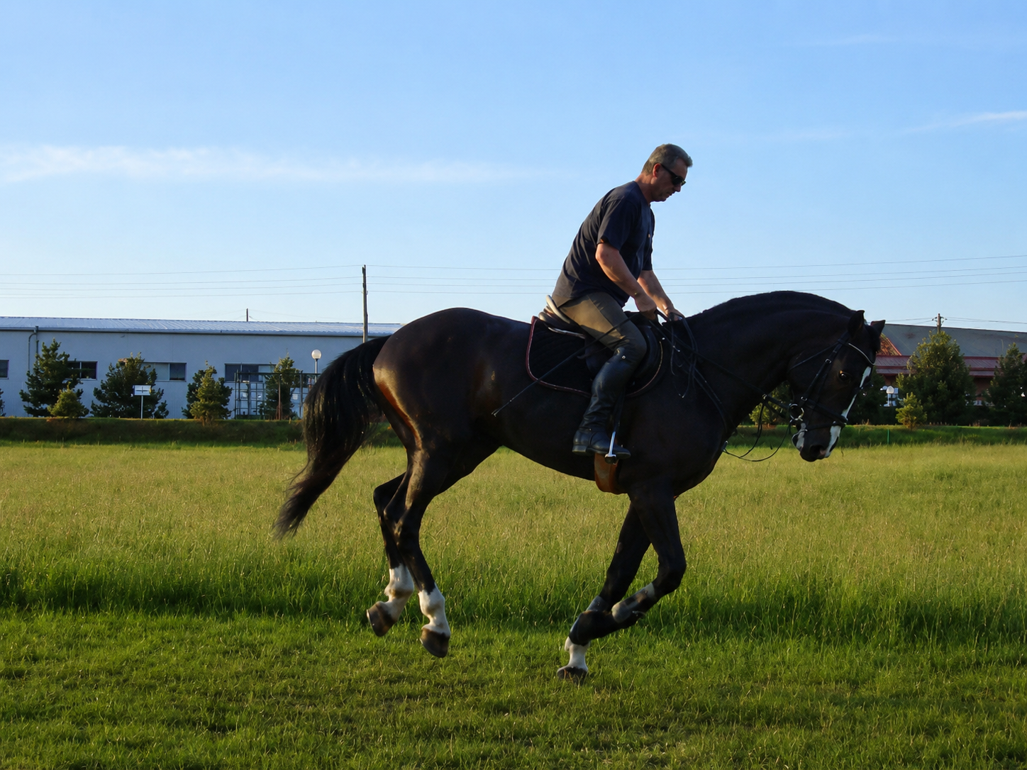 Legacy in equestrian sport
